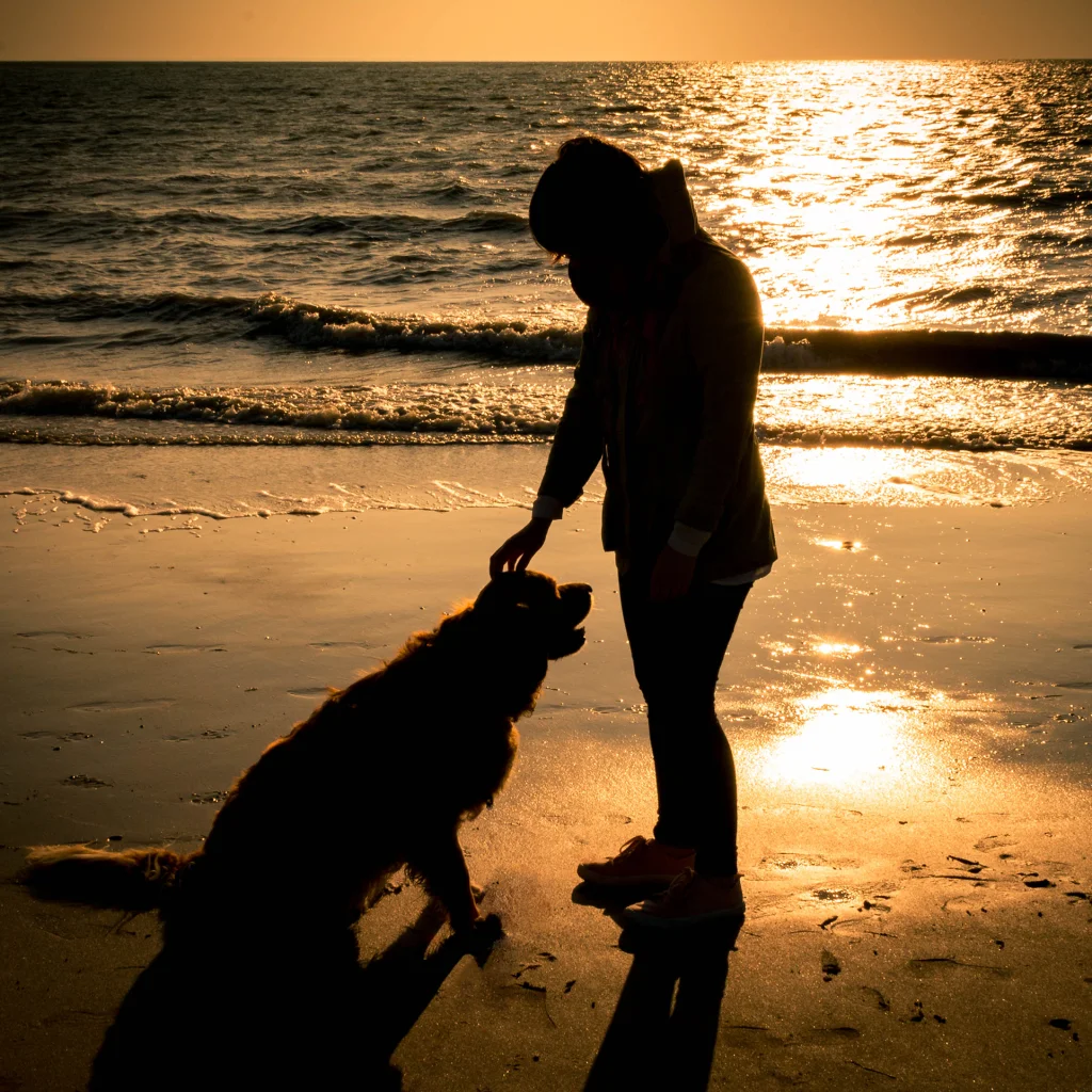 Photographe d'animaux Clermont-Ferrand