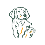 Photographe animaux - Clermont-Ferrand