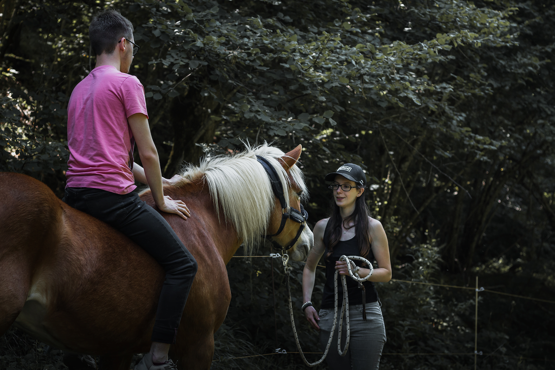 Prestations professionnels - reportage