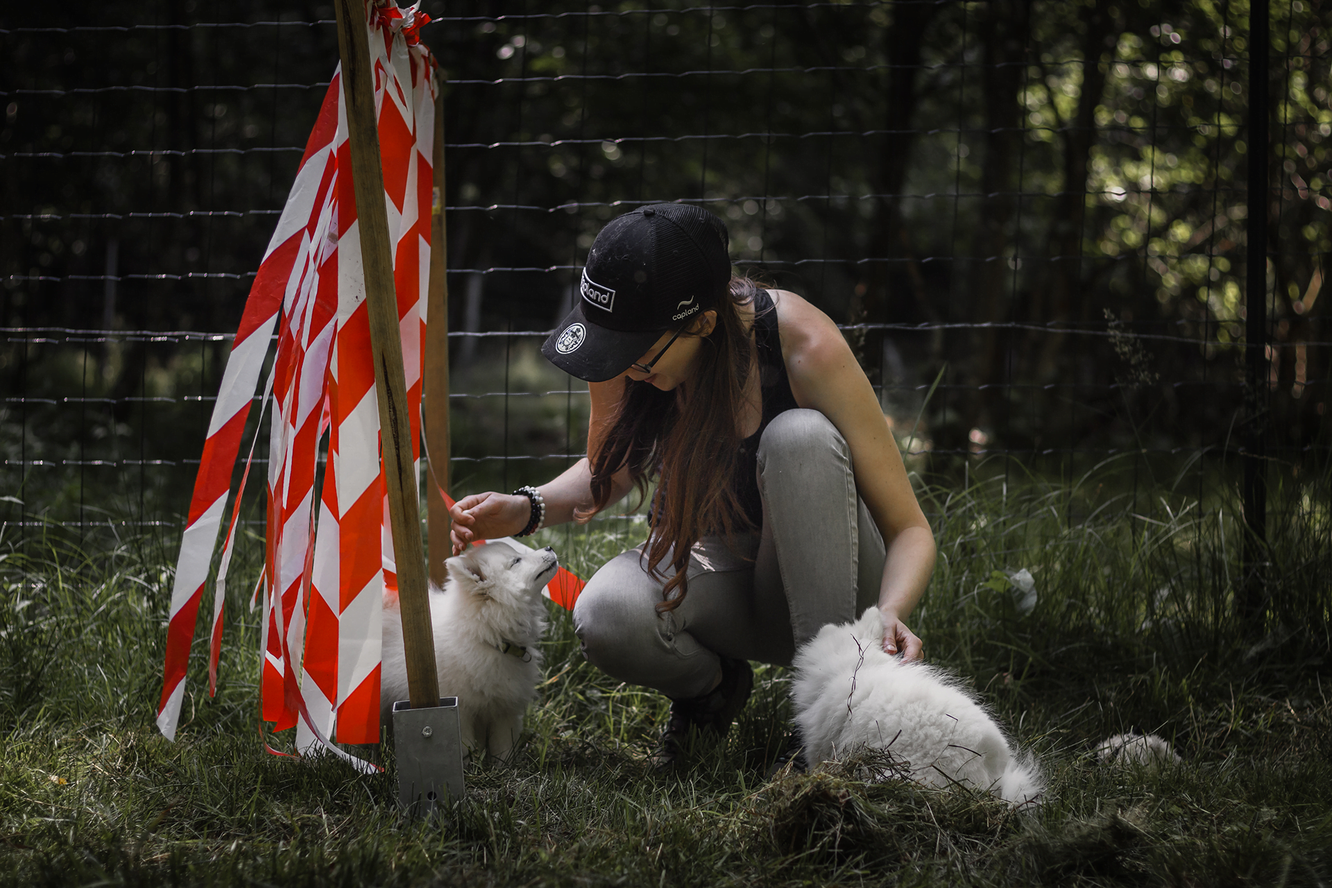 Prestations photos - reportage professionnel