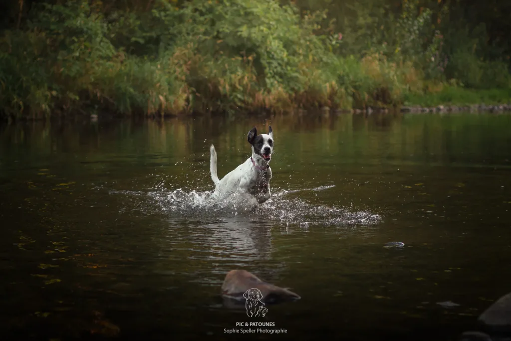 Séance au bord de l'eau Zoé