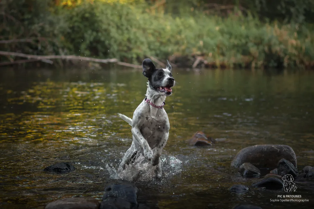 séance au bord de l'eau Zoé saut