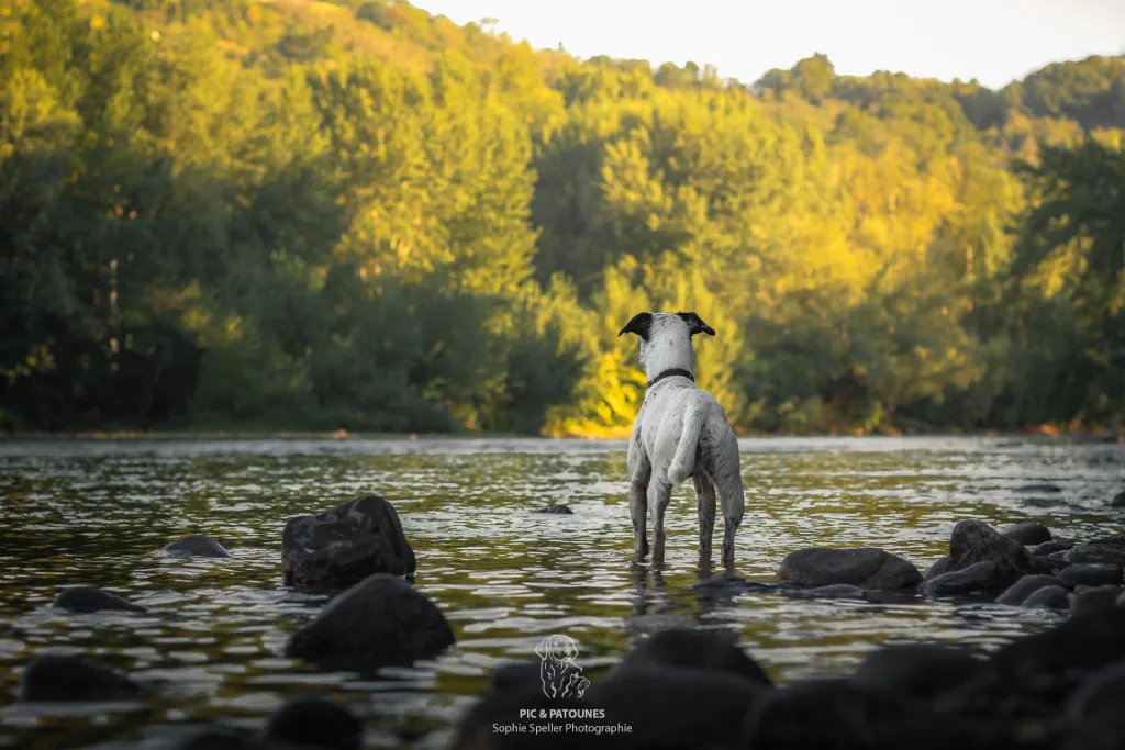 Séance au bord de l'eau